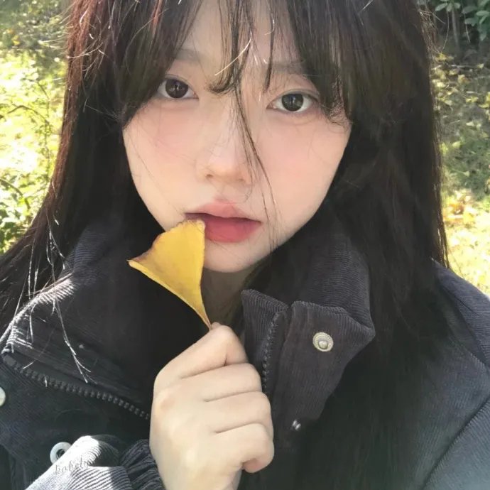 朱门情仇