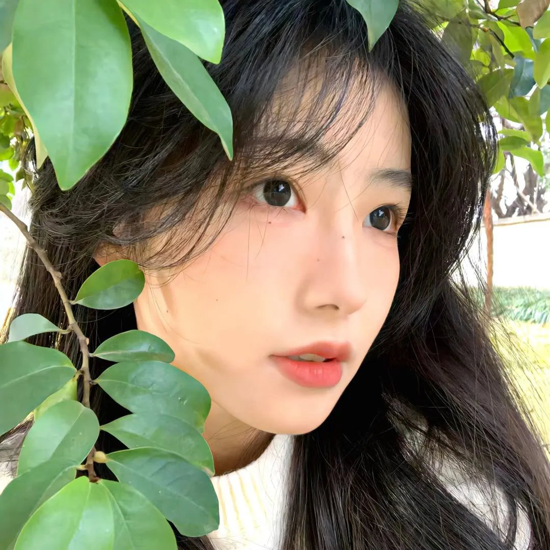 29片棕榈叶